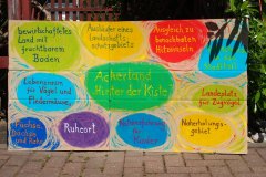 p-200527-110259-tb-boklimastadtgruen-r2120163.jpg