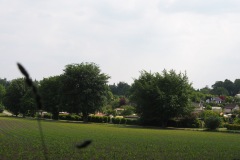 p-200527-151807-tb-boklimastadtgruen-r2120331.jpg