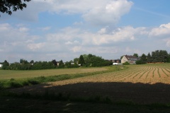 p-200527-160814-tb-boklimastadtgruen-r2120364.jpg