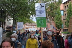p-200925-151745-klimastreikbo-tb-img-4023