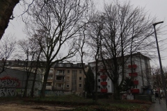 p-201215-140824-tb-tb-aktion-baeume-neustr-img-4485