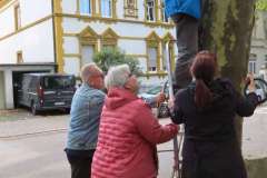 p-251004-151726-tb-boklima-gas-plakatehaengen-img-8663.small-