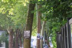 p-251004-154116-tb-boklima-gas-plakatehaengen-img-8678.small-