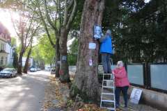 p-251004-155054-tb-boklima-gas-plakatehaengen-img-8683.small-