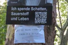 p-251004-155250-tb-boklima-gas-plakatehaengen-img-8691.small-