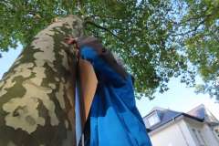 p-251004-155453-tb-boklima-gas-plakatehaengen-img-8692.small-