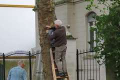 p-251004-155640-tb-boklima-gas-plakatehaengen-img-8695.small-