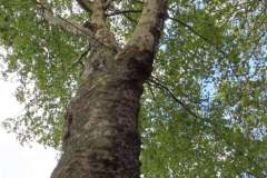 p-251004-160240-tb-boklima-gas-plakatehaengen-img-8700.small-