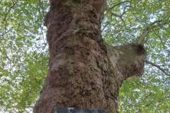 p-251004-161142-tb-boklima-gas-plakatehaengen-img-8707.small-