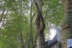 p-251004-162839-tb-boklima-gas-plakatehaengen-img-8722.small-