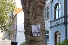 p-251004-164426-sp-boklima-gas-plakathaengen-img-20251004-164425.small-