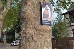 p-251004-172348-sp-boklima-gas-plakathaengen-img-20251004-172347.small-