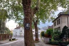 p-251004-172450-hr-boklima-gas-plakathaengen-20251004-172450.small-